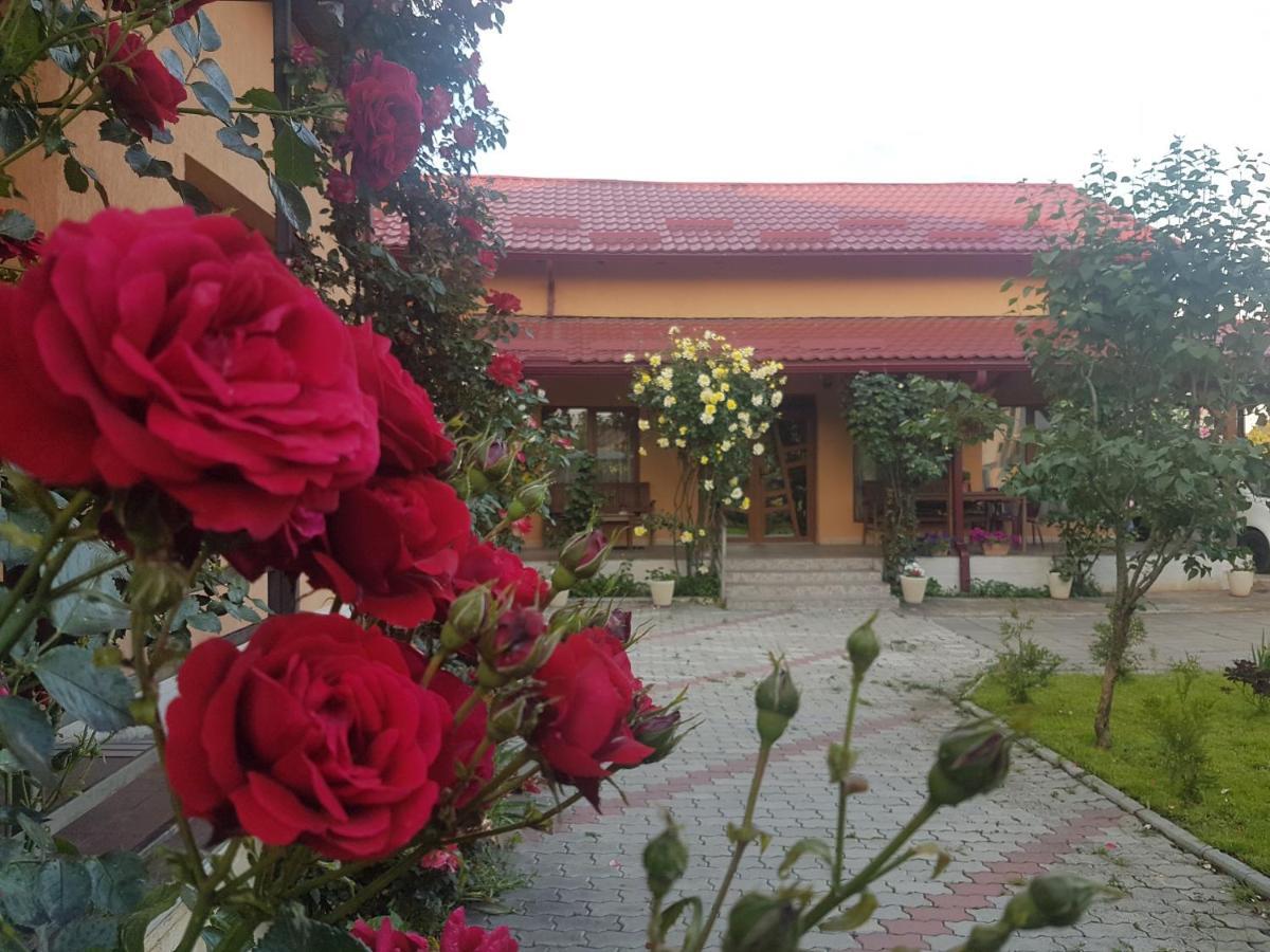 Mill House Villa Cluj-Napoca Luaran gambar